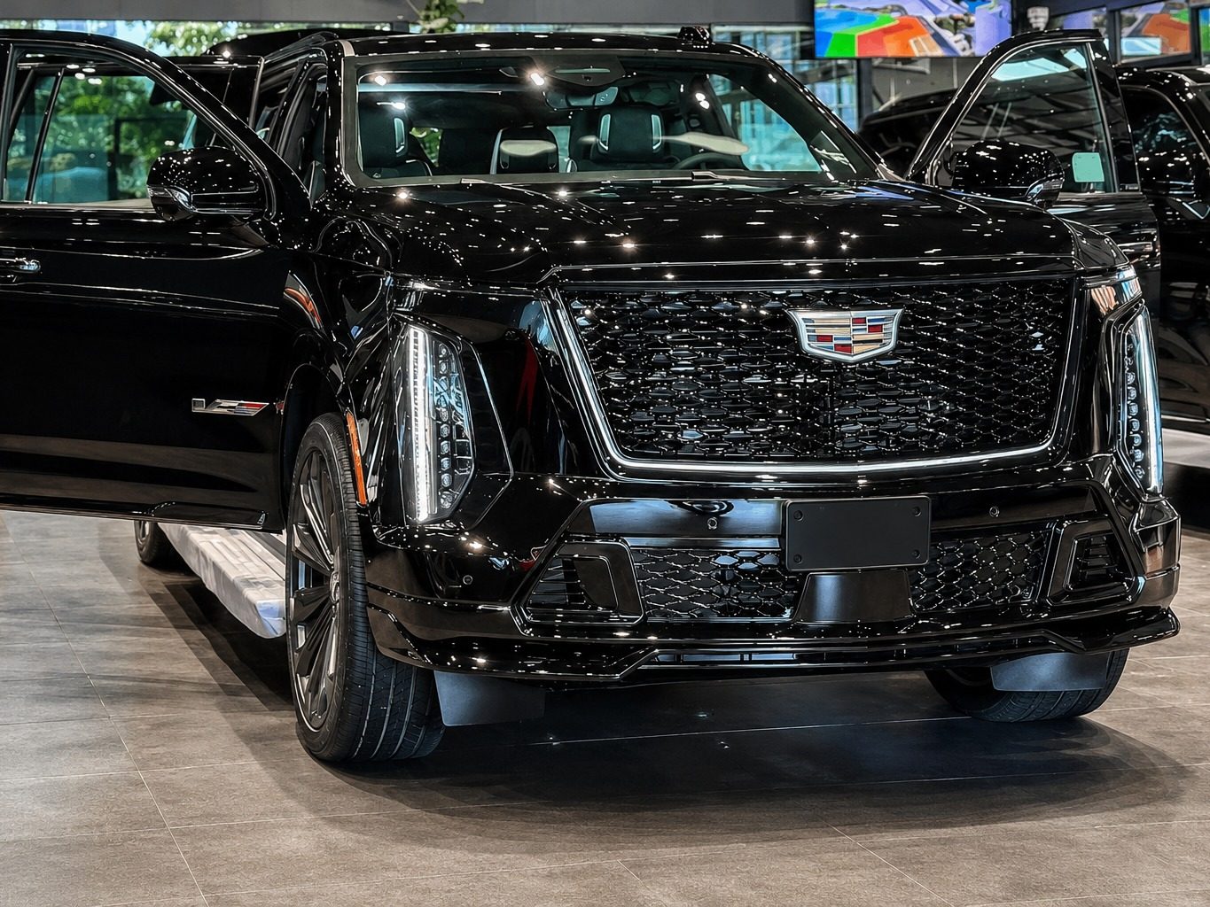 Osi limo photo
