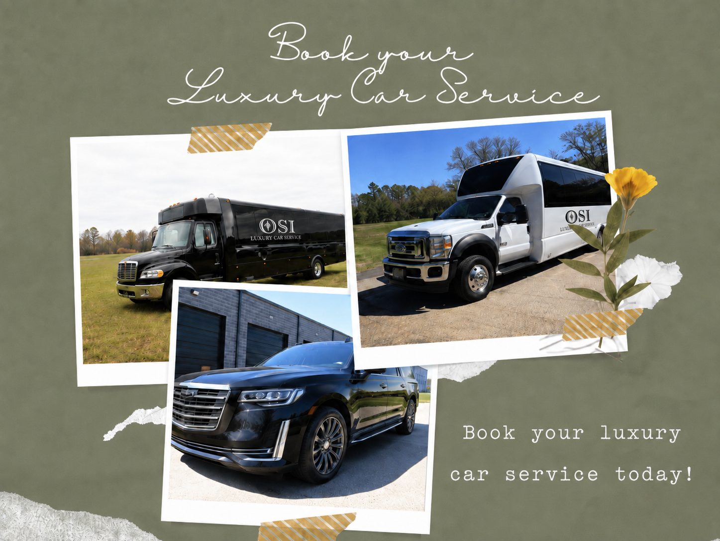 Osi limo photo