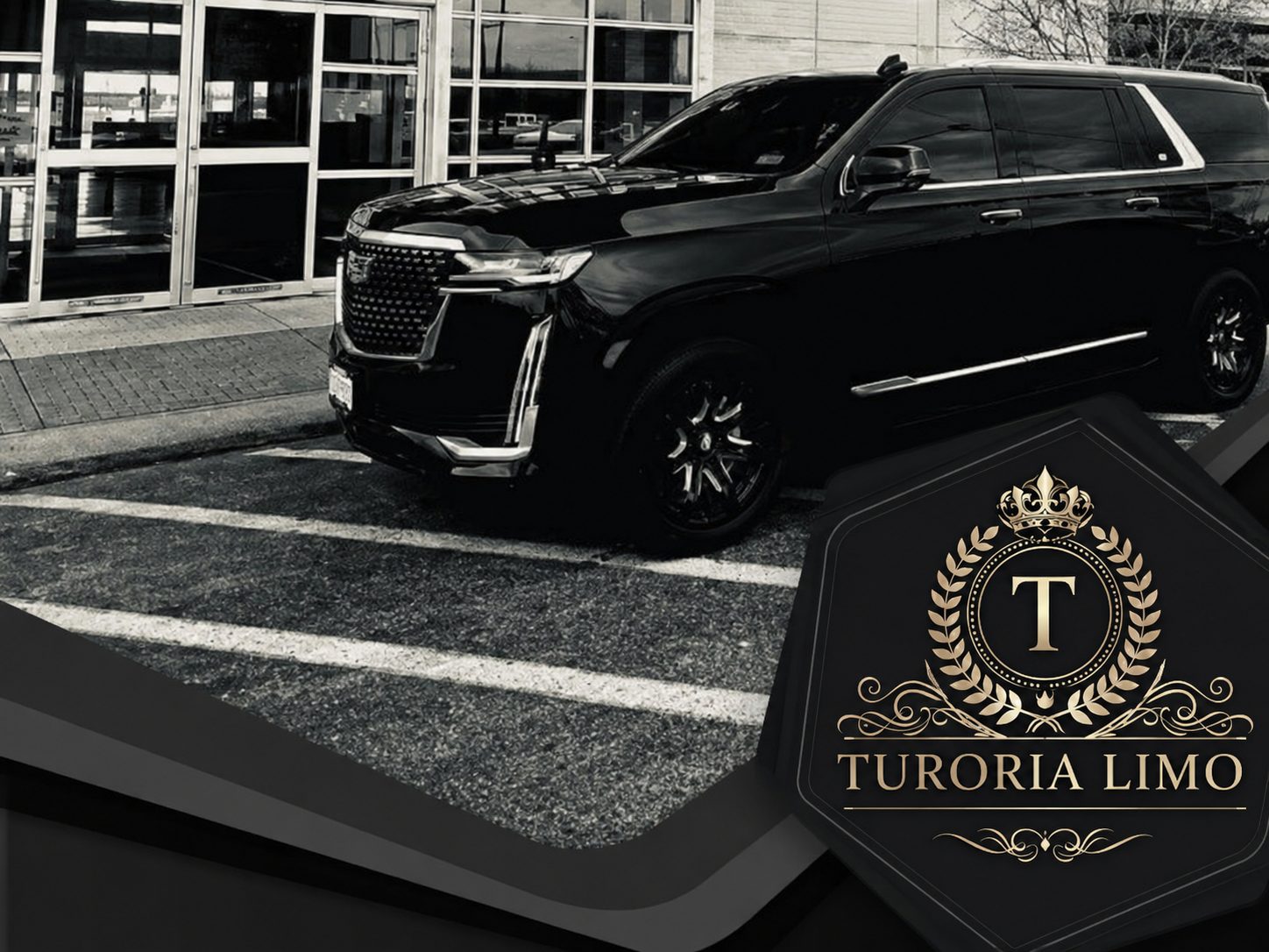 Turoria Limo photo